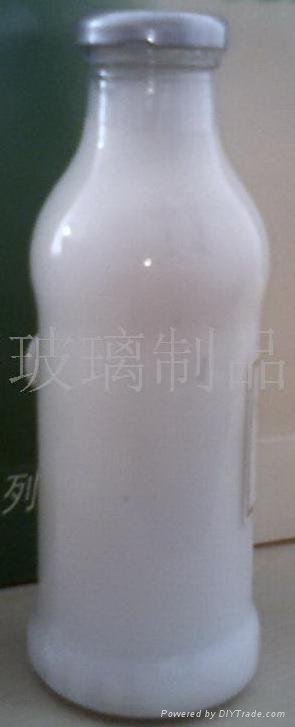 出口饮料瓶玻璃瓶 5