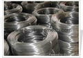 galvanized wire 1