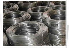 galvanized wire