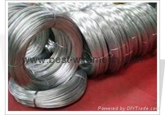 hot dipped galvanized wire  2