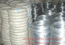 Galvanized Wire of 12 Gauge. 5