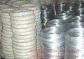 Galvanized Wire of 12 Gauge. 5