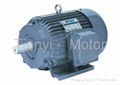 Y series three-phase indcution Motors 1