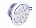 24W LED down light 1