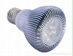 10w PAR light