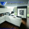 TW high quality solid surface countertop 1