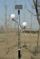 Solar Garden Lights