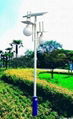 Solar Garden Lights