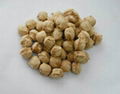 Textured Soya Protein  1