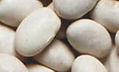 White Beans 1