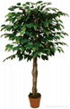 artificial ficus tree