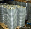 galvanized welded wire mesh 