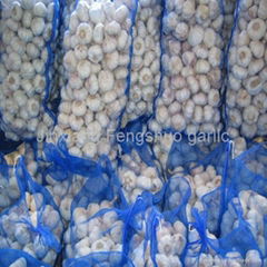   mesh bag garlic 10kg 20kg packing