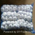   mesh bag garlic 10kg 20kg packing 2