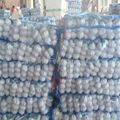   mesh bag garlic 10kg 20kg packing 3