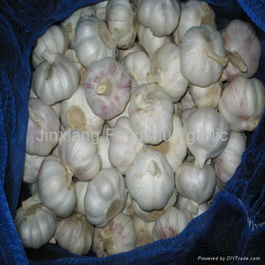   mesh bag garlic 10kg 20kg packing 4