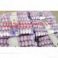 5pcs nat bag garlic 1