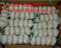 5pcs nat bag garlic 2