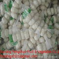 5pcs nat bag garlic 3