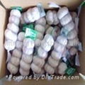 5pcs nat bag garlic 4