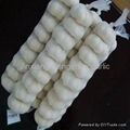 6 7 8 9 pcs net  bag garlic 1