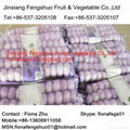 6 7 8 9 pcs net  bag garlic 5