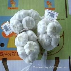 500g net bag garlic