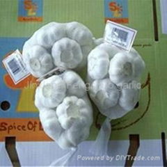 500g net bag garlic