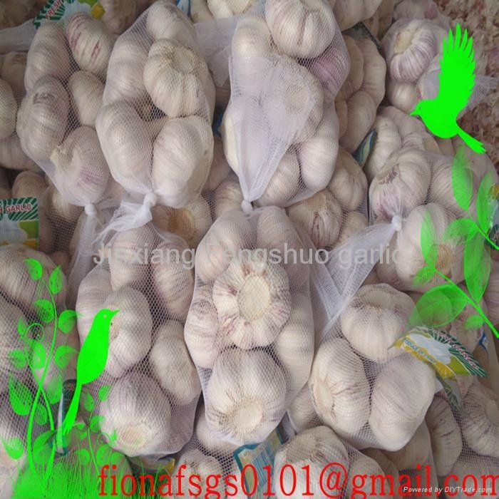 500g net bag garlic 2