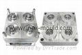 Plastic injection mold and injection