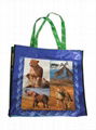 laminationed woven bags 1