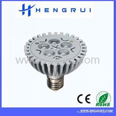 led PAR30 light