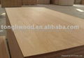 Commercial Plywood