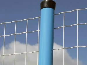 supply Euro Welded Fence 2