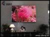 indoor led display (P7.62mm)