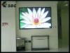  indoor led display (P7.62mm) 3