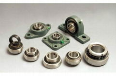 Betton Inser  bearing