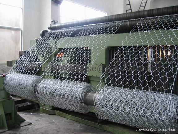 Hexagonal Wire Netting