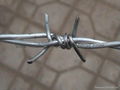 barbed wire