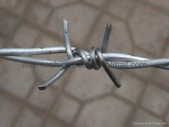 barbed wire