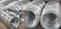 Galvanized Iron Wire 1