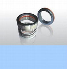 O-Ring Mechanical Seals