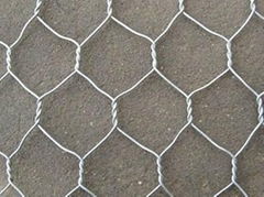 Hexagonal wire mesh