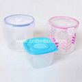 Food Container Mould