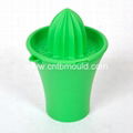 Plastic Juicer Mould