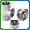 Stainless Steel Pipe Fittings 2