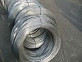 Galvanized Wire(ISO9001:2008,UKAS) 1