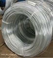 Galvanized Wire(ISO9001:2008,UKAS) 2