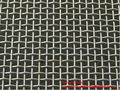 Stainless Steel Wire Mesh(ISO9001:2008,UKAS) 4