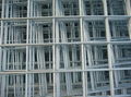 Welded Wire Mesh(Weian Brand)